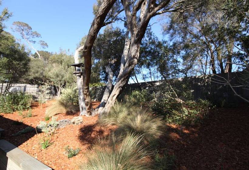 Sunny Side Up B&b Rye