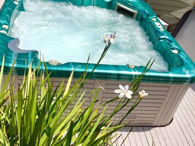 Sunny Side Up B&b Rye