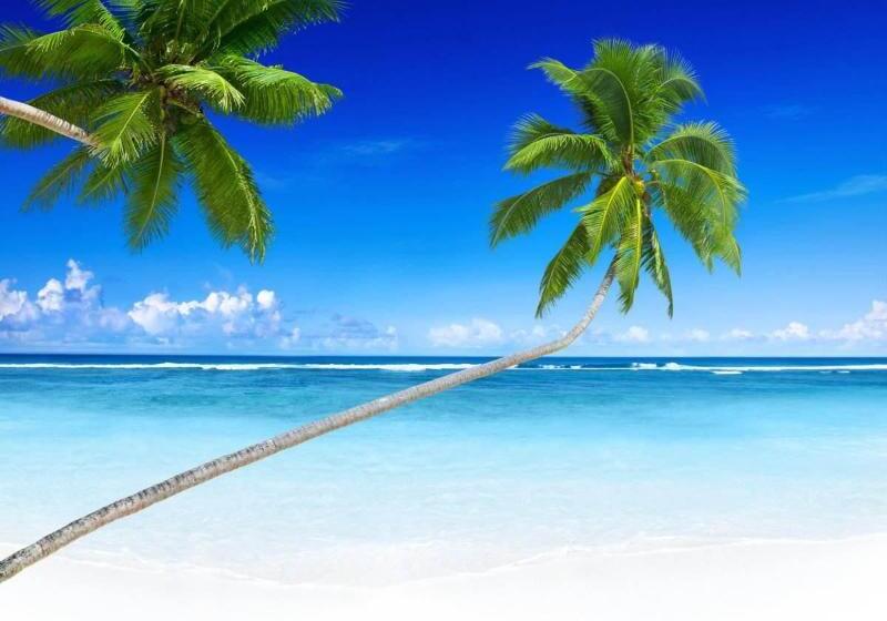 ホテル Ji  Sanya Bay