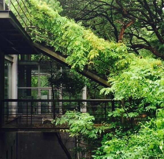 فندق Phoenix Art Resort