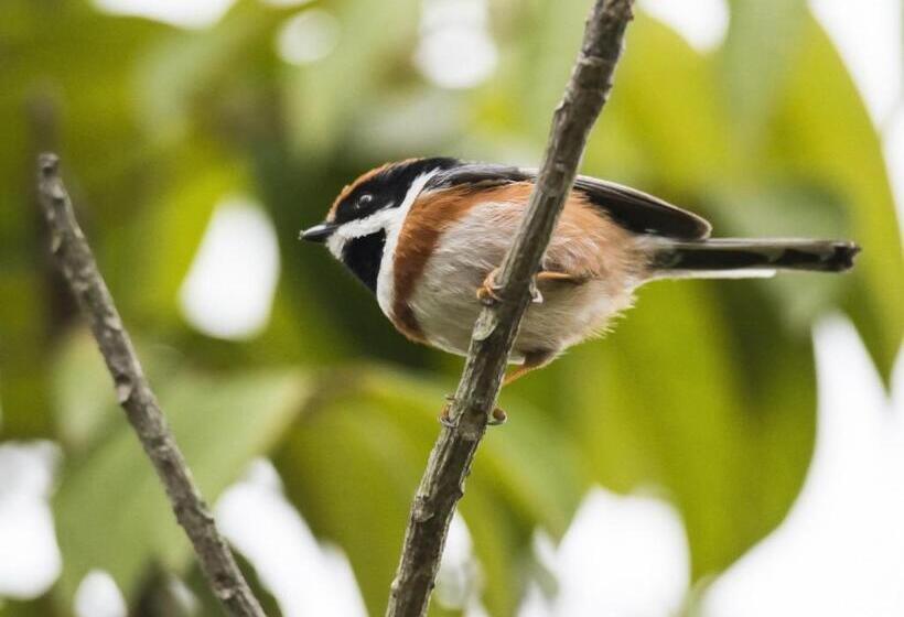 فندق Carp Islet Resort Fuzhou