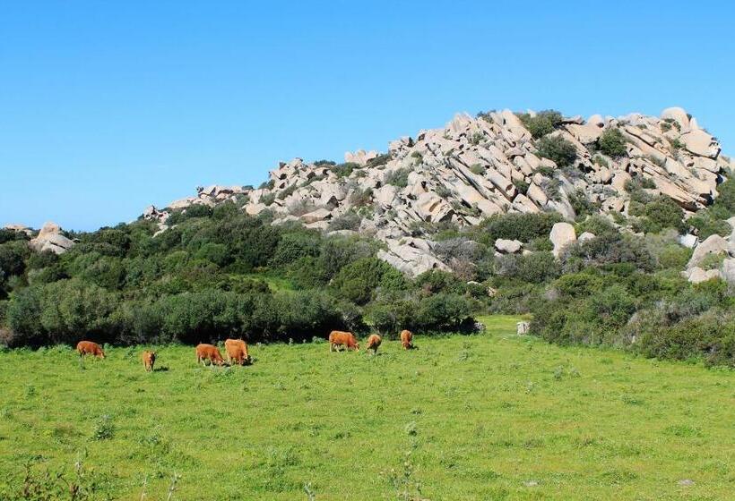 Felix Hotels   Residence Hotel Costa Serena