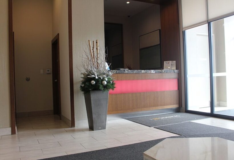 Custom Luxury Suite   By Elite Suites