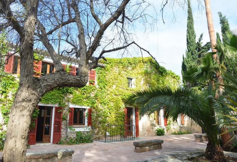 Finca Hotel Consinet