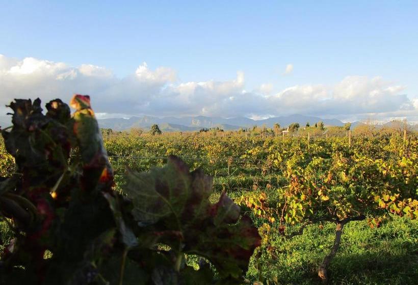 Finca Hotel Consinet