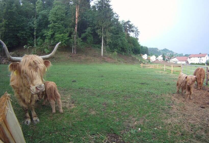 هتل Apartments & Wellness Skok