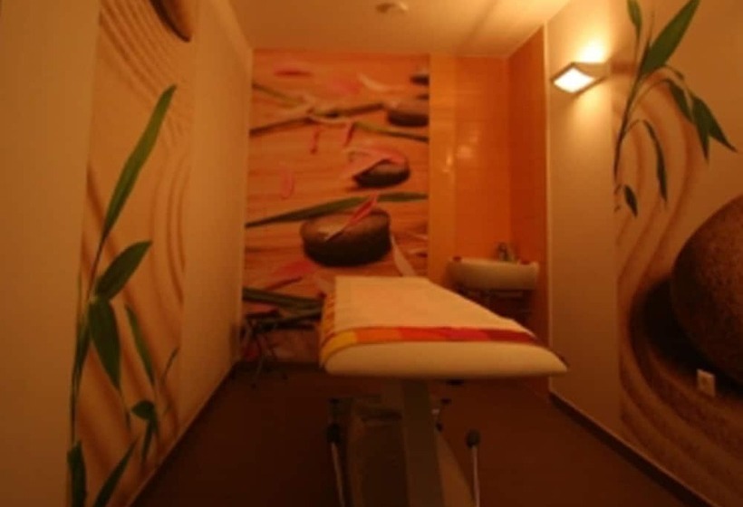 هتل Apartments & Wellness Skok