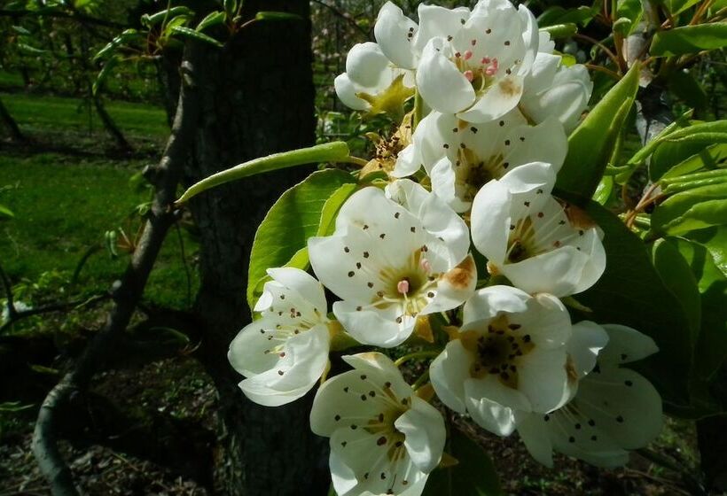 호텔 B&b Rikkeshoeve