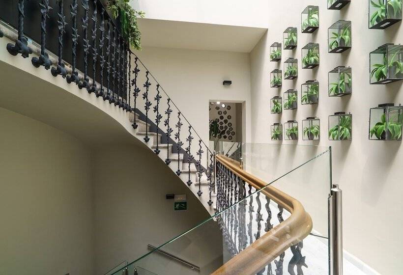 فندق The Valentia Cabillers