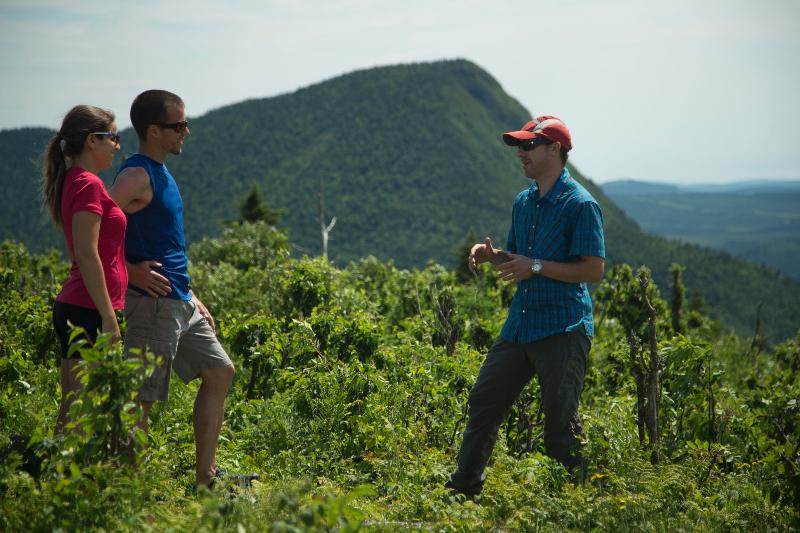 ホテル Chic-chocs Montagne Lodge