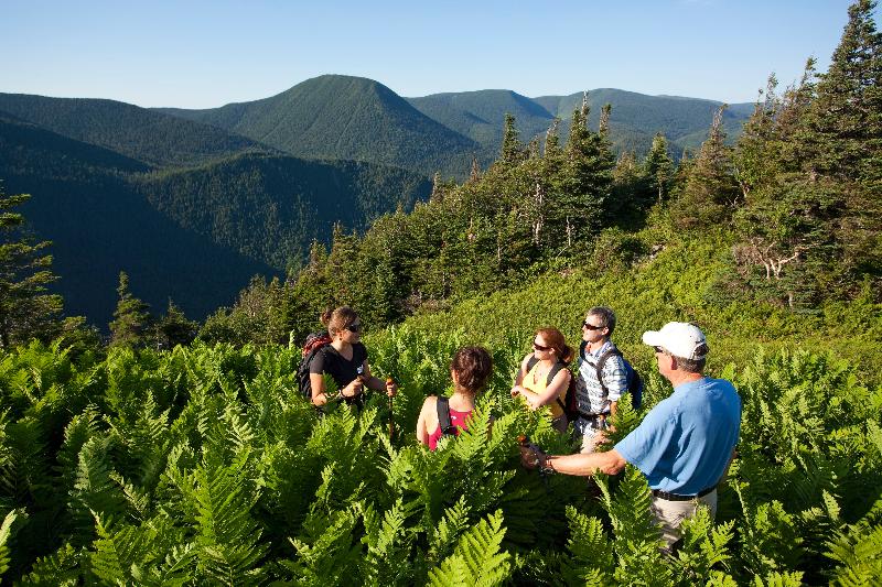 ホテル Chic-chocs Montagne Lodge