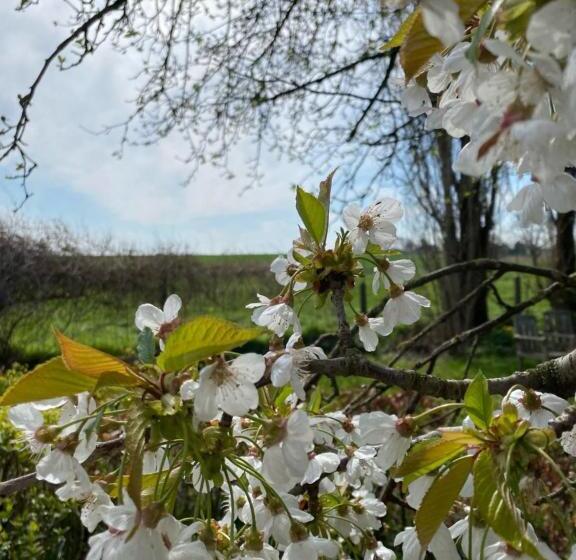 酒店 De Zwarte Stok