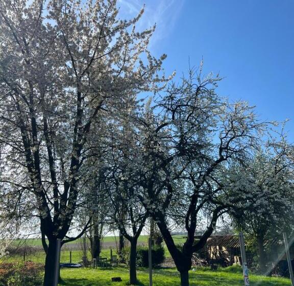 酒店 De Zwarte Stok