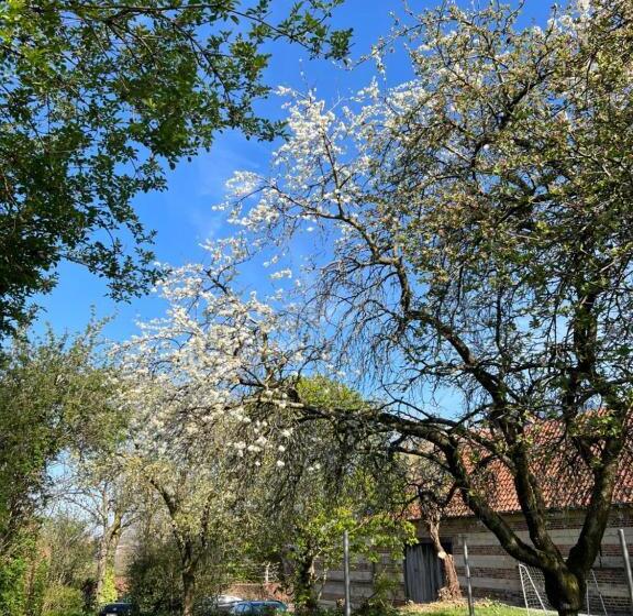 酒店 De Zwarte Stok