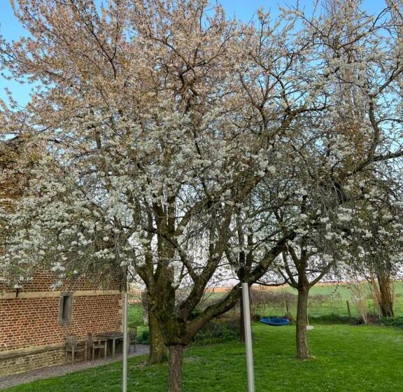 酒店 De Zwarte Stok