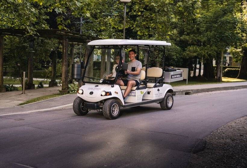 هتل Depandance Vila Higiea   Terme Dobrna