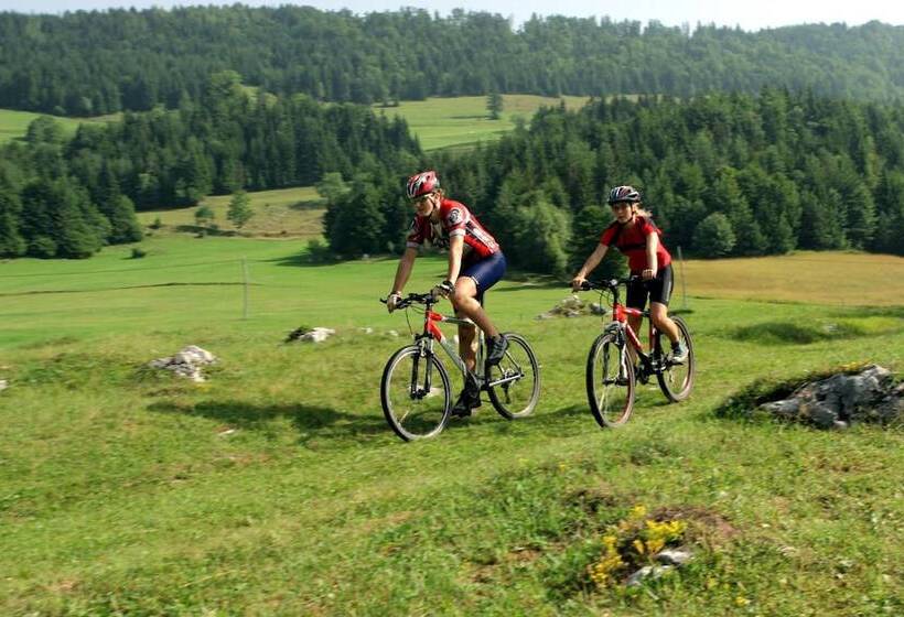 هتل Depandance Vila Higiea   Terme Dobrna