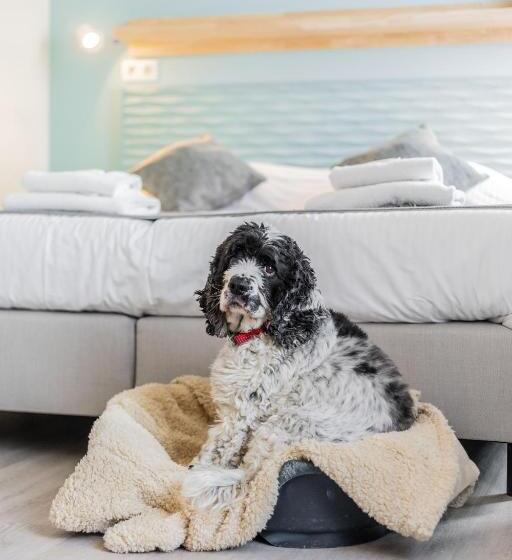 בית מלון כפרי Jose