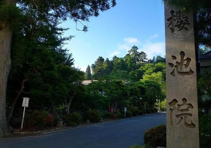 酒店 高野山 宿坊 桜池院  Koyasan Shukubo Yochiin