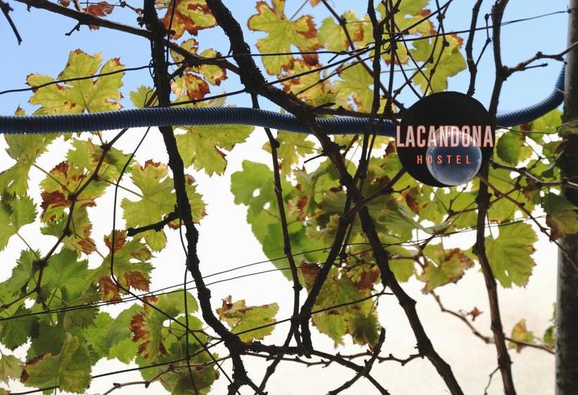 هتل Lacandona Hostel