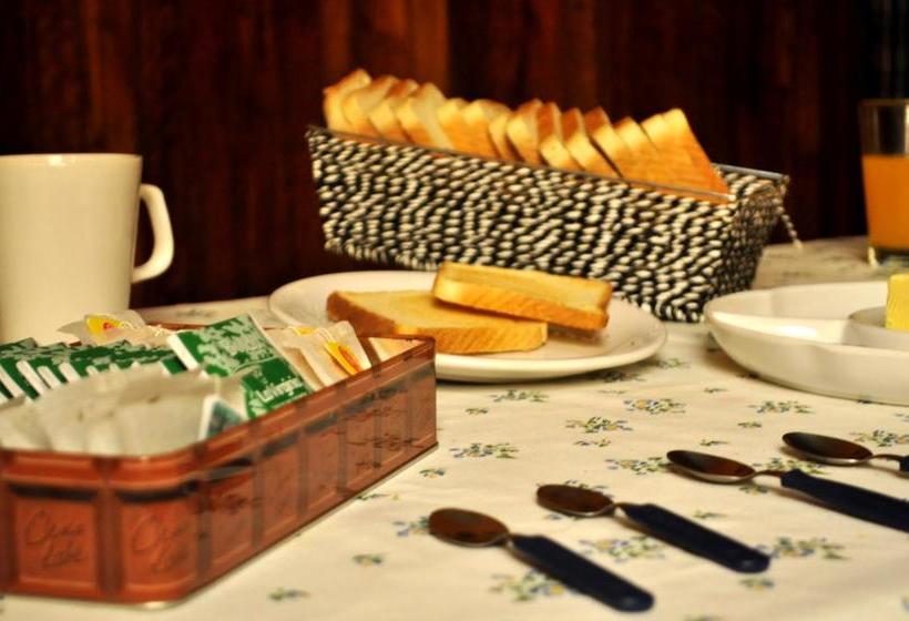 هتل Lacandona Hostel