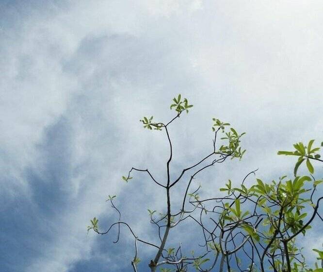 酒店 Mango Beach Resort