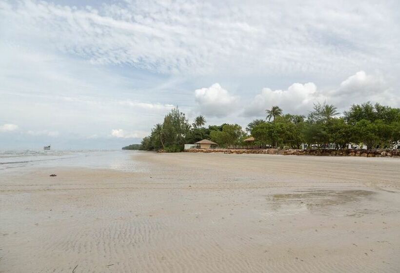 酒店 Mango Beach Resort