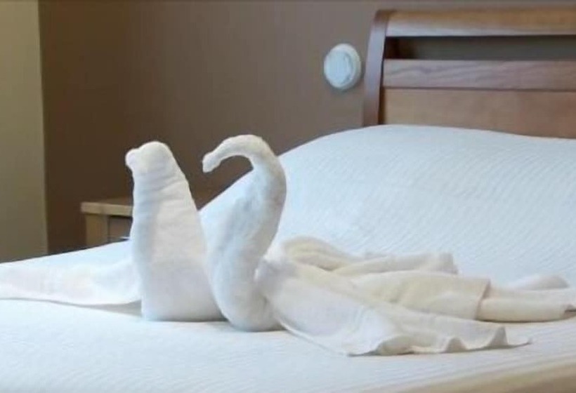 בית מלון כפרי Rogier