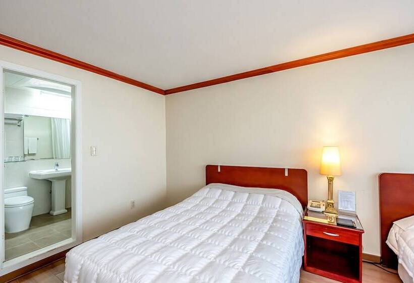 酒店 Samhaein Tourist