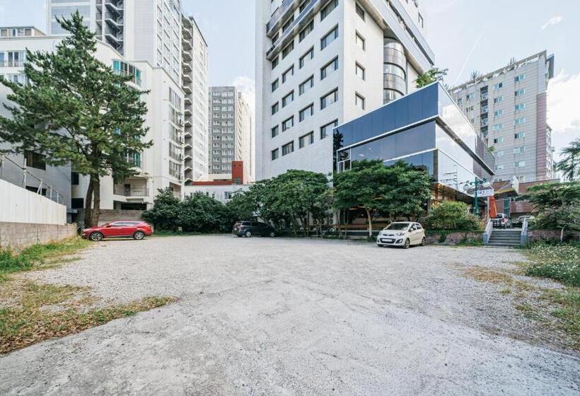 酒店 Samhaein Tourist