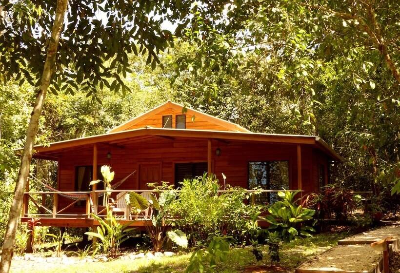 בית מלון כפרי Vanilla Hills Resort