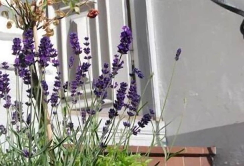 بنسيون L Villa Ronne