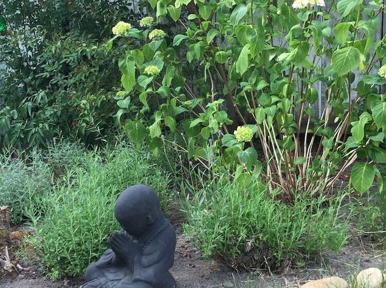 بنسيون L Villa Ronne