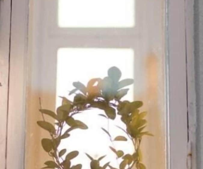 بنسيون L Villa Ronne