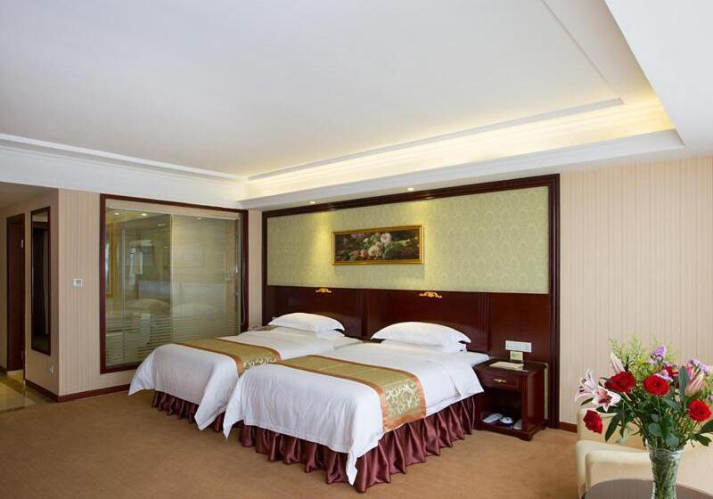Vienna Hotel Heyuan High Tech Yi Road