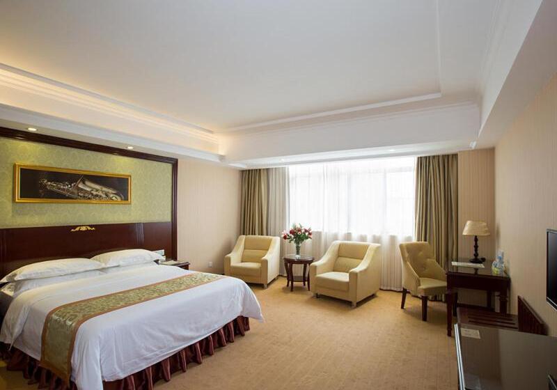 Vienna Hotel Heyuan High Tech Yi Road