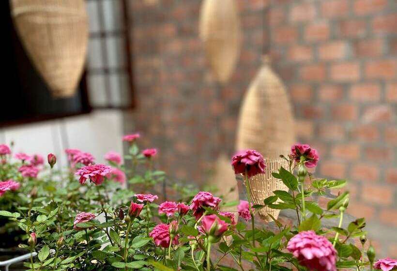 هاستل Okra Hoian