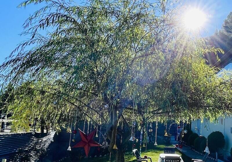 فندق Family In The Hills By Nature S Glamping