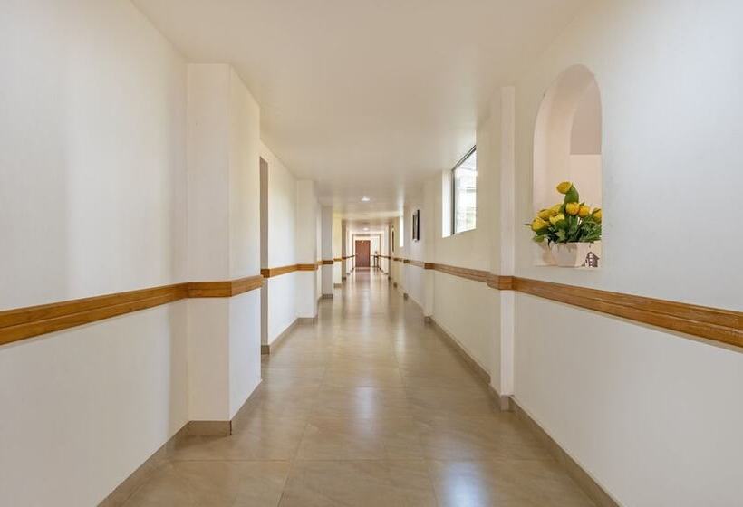 فندق Treebo Sadhoo Heritage