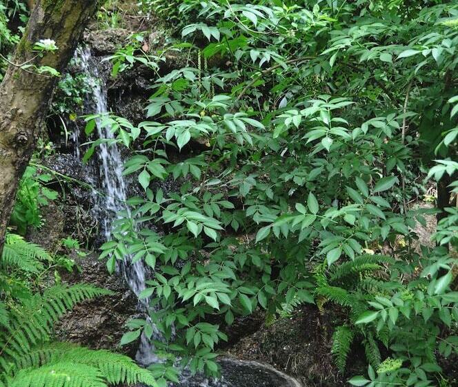 بنسيون Room In B&b Paradise Is Real At Vale Martinho Sherazad