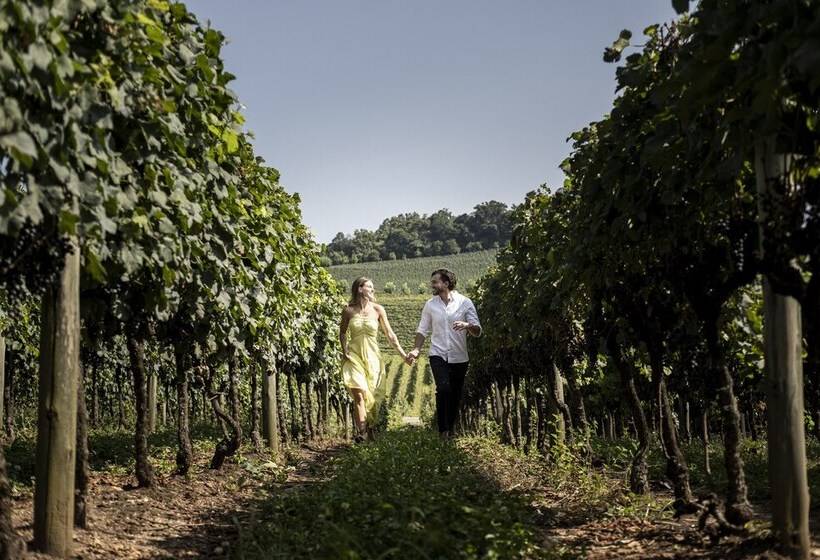 Plaza Hotel & Boulevard Convention – Vale Dos Vinhedos