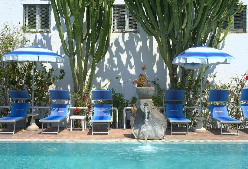 Room In B&b   Ischia Forio, In 4 Under The Sign Of Relaxation And Well Being