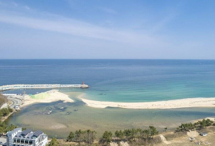 Gangneung Dangdangi Dog Pension Blue