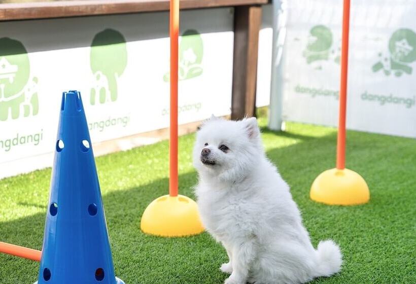 Gangneung Dangdangi Dog Pension Blue