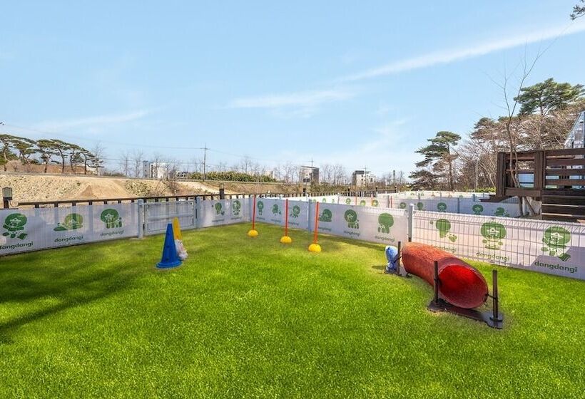 Gangneung Dangdangi Dog Pension Blue