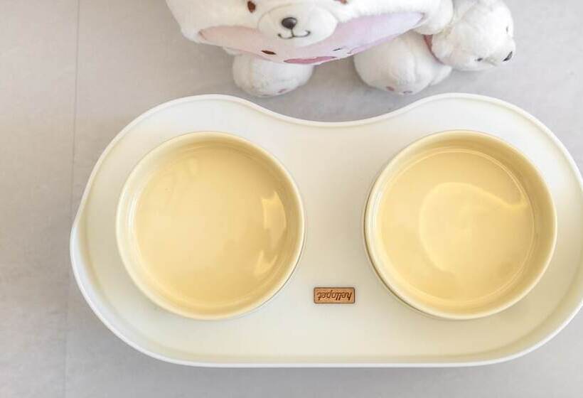 Gangneung Dangdangi Dog Pension Blue