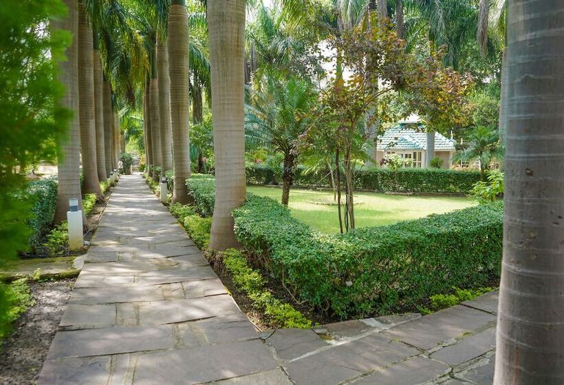 Village Machaan Resort