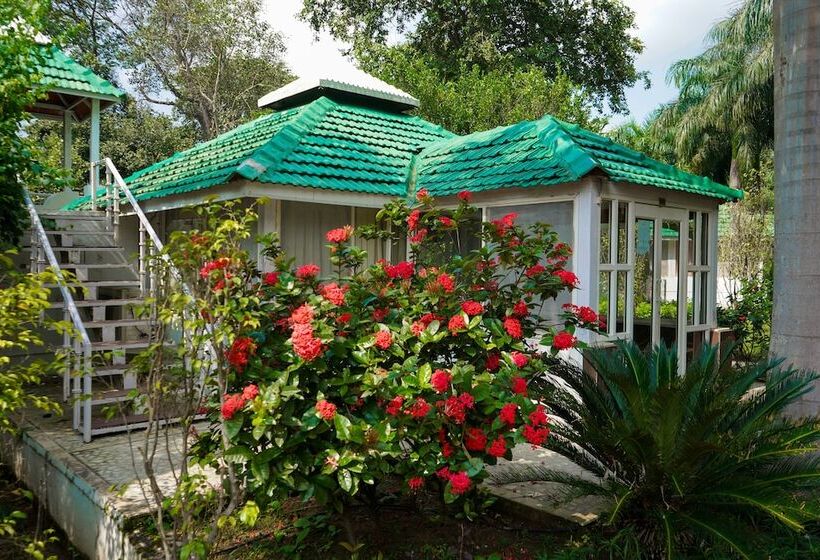 Village Machaan Resort