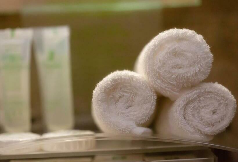 ホテル Holiday Suites Al Azizia