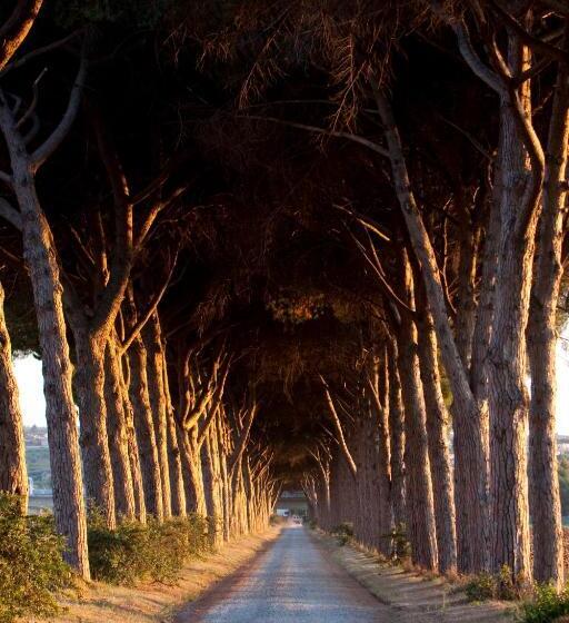Agriturismo Pantano Borghese